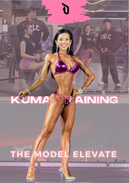 The Model Elevate Program